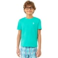 thumbnail image 1 of U.S. Polo Assn. Boys Crew Neck T-Shirt, Sizes 4-18, 1 of 4