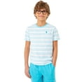 thumbnail image 1 of U.S. Polo Assn. Boys Short Sleeve Stripe T-Shirt, Sizes 4-18, 1 of 7