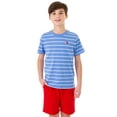 thumbnail image 1 of U.S. Polo Assn. Boys Short Sleeve Stripe T-Shirt, Sizes 4-18, 1 of 4