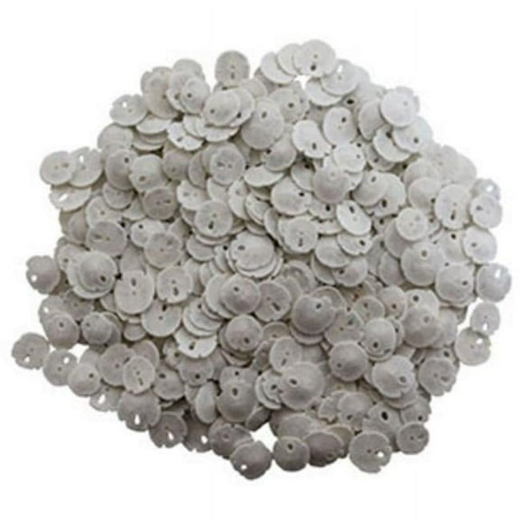 U.S. Shell 08003 Keyhole Sanddollar - 50 Piece