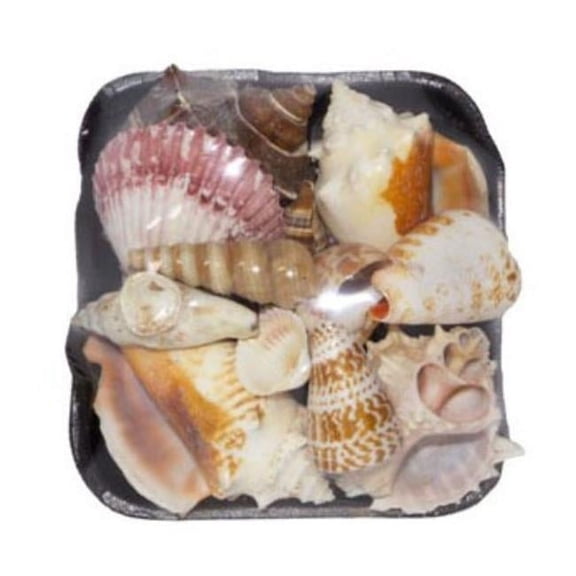 U.S. Shell 08032 1-S Shell Pack - 3 Piece