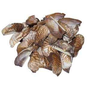 Shell Trade Mark shells turkety tx - Walmart Business