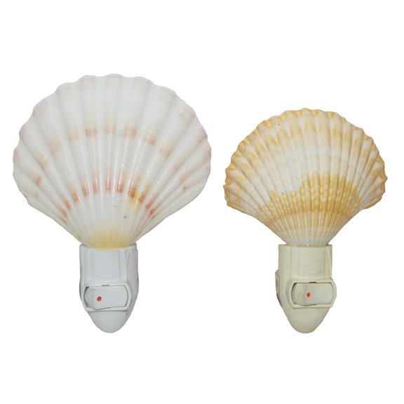 U.S. Shell, Inc. U.S. Shell, Seashell Night Light Set of 2 (Irish Deep and Yellow Cup)