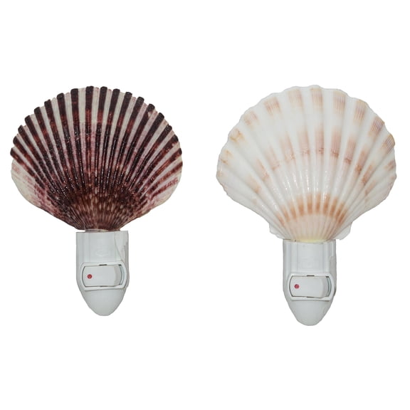 U.S. Shell, Seashell Night Light Set of 2 (Irish Deep and Caribbean Pecten), 2 Count
