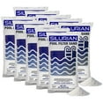 thumbnail image 1 of U.S. Silica 10 Pack SILURIAN 20 Grade Pool Filter Sand for Optimal Filtration, 1 of 8
