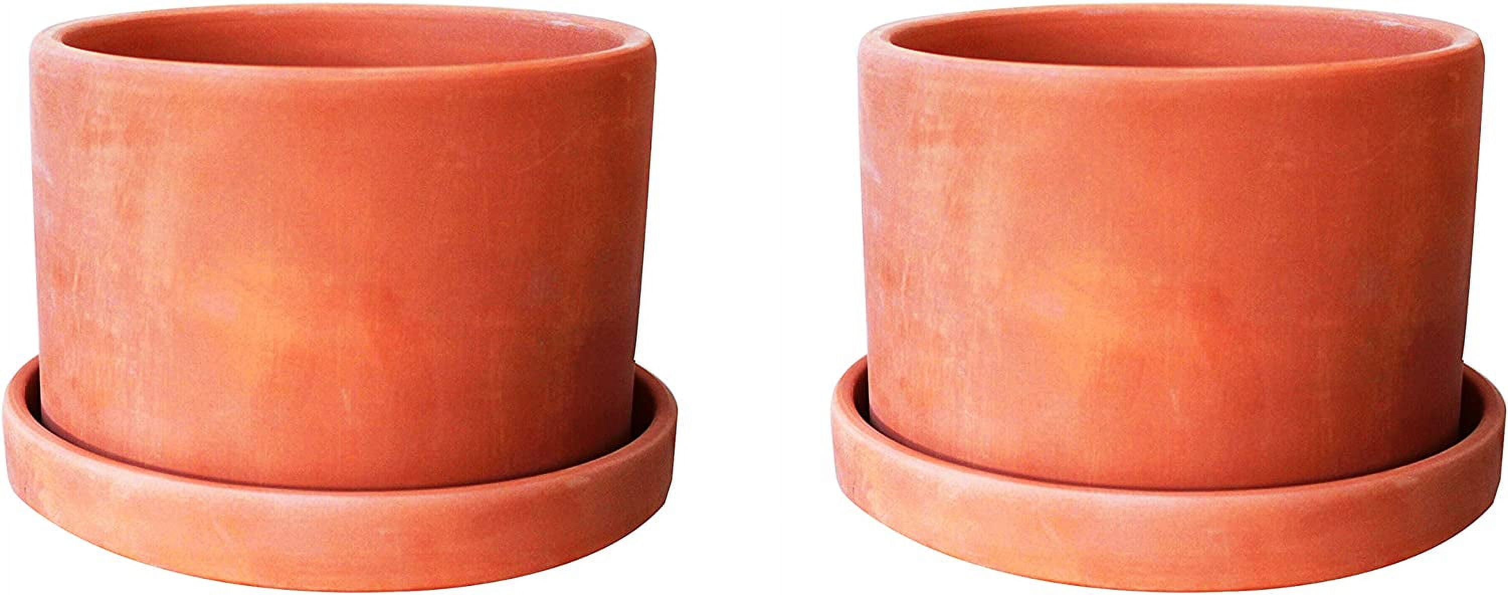 Set of 2 Round Terracotta Planters! Perfect for Both Indoor and Outdoor Plants! (2 Terra Cotta Planters)(並行輸入) : Terra Cotta Pots for Plants with Drainage Hole, 2 Pack