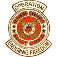 thumbnail image 1 of U.S. WAR ON TERROR & DESERT WARFARE, OPERATION ENDURING FREEDOM USCG LOGO - PIN - 1.0625", 1 of 1