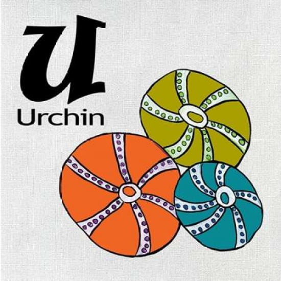 U - Urchin Canvas Art - Shanni Welsh (24 x 24)