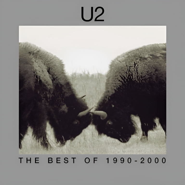 U2 - The Best Of 1990-2000 - Music & Performance - Vinyl - Walmart.com