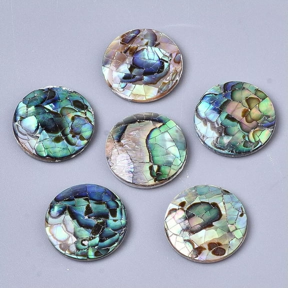 U8MO 10x Flat Round Natural Abalone Paua Shell Cabochons with Freshwater Shell 16x3mm