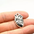 thumbnail image 1 of U8MO 2 Human Heart Charms Silver Anatomy Pendants Organ Jewelry Findings 27mm, 1 of 2