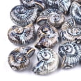 thumbnail image 1 of U8MO 20pc Colorful Handmade Porcelain Beads Cute Fancy Sea Snail Loose Spacer 39~40mm, 1 of 2