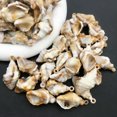 thumbnail image 1 of U8MO 20pcs Acrylic Conch Charms Pendants for Handmade Diy Necklace Bracelet Keychain-10# 20x41mm-17288, 1 of 9