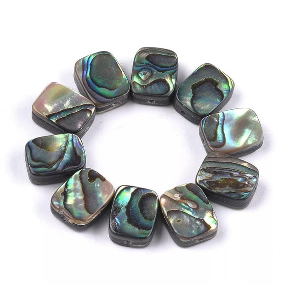 U8MO 40pc Colorful Abalone Shell Paua Shell Beads Rectangle Loose Spacer Craft 10x8mm