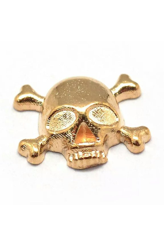 5 Memory Locket Charms Floating Locket Light Gold Skull and Crossbones Gothic