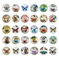thumbnail image 1 of U8MO 50x Flatback Half Round Butterfly Glass Cabochons Pendants Jewelry Making 25x7mm, 1 of 9