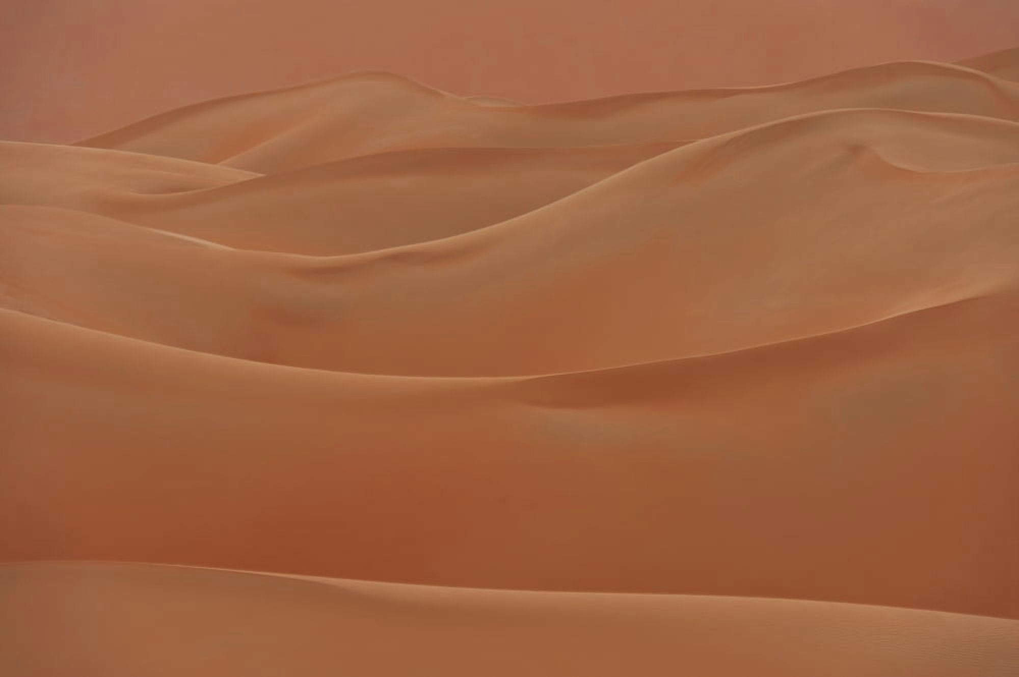 UAE Abu Dhabi Sand dunes Liwa Canvas Art - Ian Cumming  Design Pics (38 x 24)
