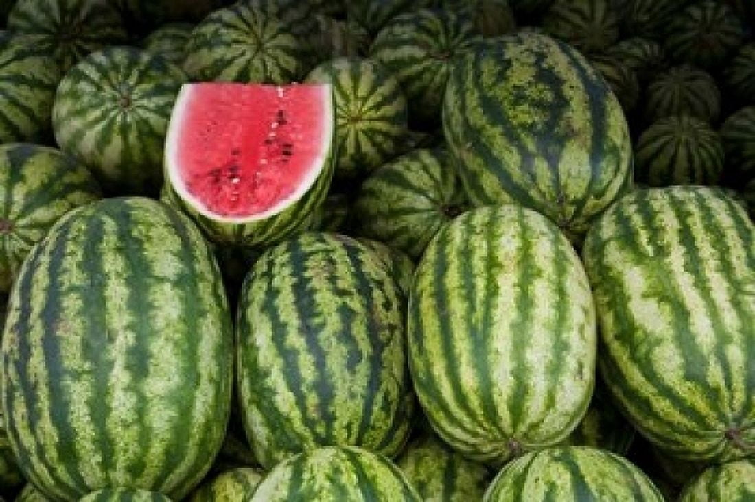 UAE Abu Dhabi Watermelon at the market Canvas Art - Jaynes Gallery DanitaDelimont (36 x 24)