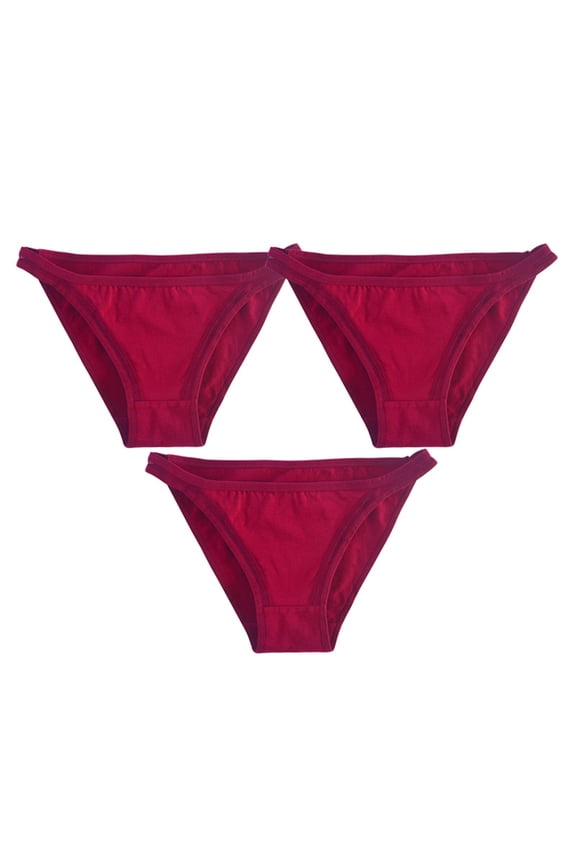 Women's Seamless Bikini Panties No Show Ladies Breathable Briefs Soft Stretch Underwear 3 Pack