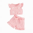 thumbnail image 1 of UAYOTSE Baby Girls Clothes Toddler Outfit 9 12 18 24 Months Kids Short Summer Tops Floral Shorts Clothes Set,Sizes 3-4 Years, 1 of 7