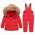 thumbnail image 1 of UAYOTSE Toddler Snowsuit Baby Boys Girls Winter Ski Suits Clothes Warm Hooded Jacket and Bib Pants,Sizes 2-3 Years, 1 of 4