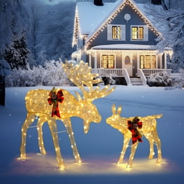 CC Christmas Decor 3-Piece Light Deer Family Christmas Sleigh Outdoor Yard Decoration 52.25