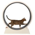 thumbnail image 1 of UBesGoo 31in Cat Exercise Wheel, Safe PP Treadmill with Green Mat & Free Teaser Wand, Beige, 1 of 13