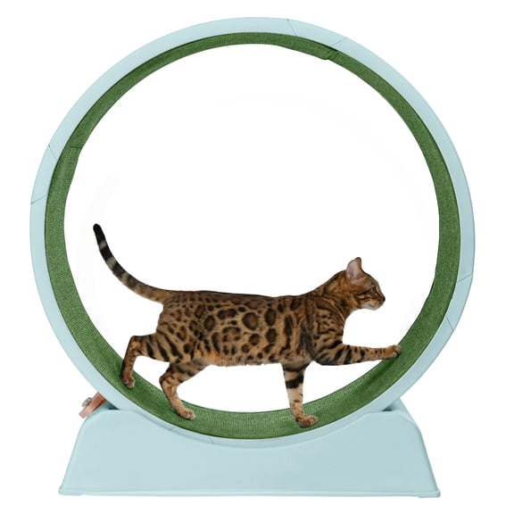 UBesGoo 31in Cat Exercise Wheel, Safe PP Treadmill with Green Mat & Free Teaser Wand, Light Blue
