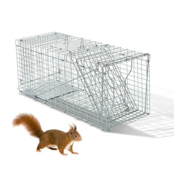 UBesGoo 32-inch 1-Door Humane Catch and Release Live Animal Trap for Raccoons, Cats, Bobcats, Beavers, Small Dogs, Groundhogs, Opossums, Foxes, Armadillos, and Similar-Sized Animals