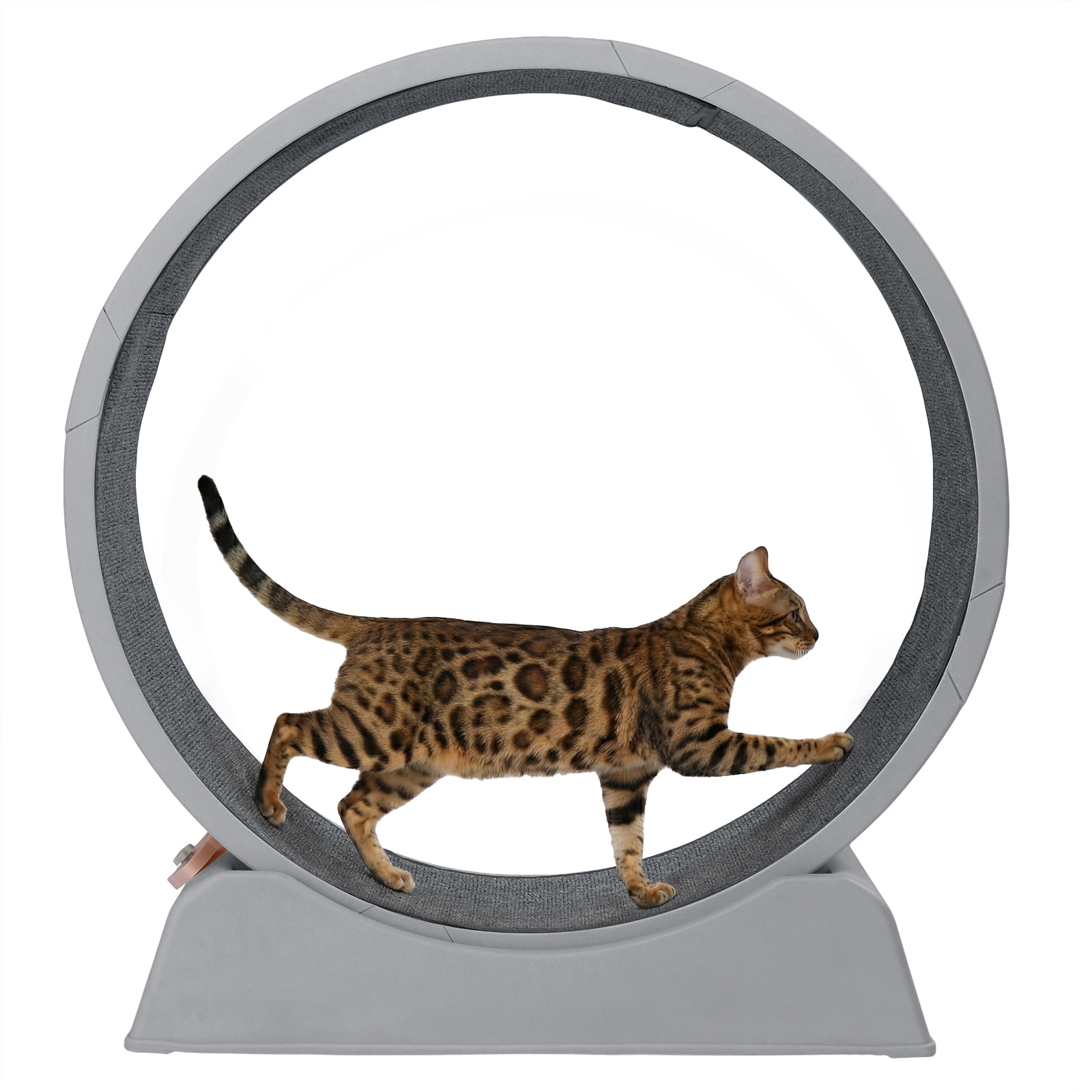 UBesGoo 31in Cat Exercise Wheel, Gray Carpeted Treadmill for Daily Fitness & Weight Loss, Safe Design