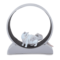 UBesGoo Cat Exercise Wheel -Safe 31in-Cat Treadmill Wheel Exerciser with Carpeted Runway for Daily Exercise and Weight Loss, Gray