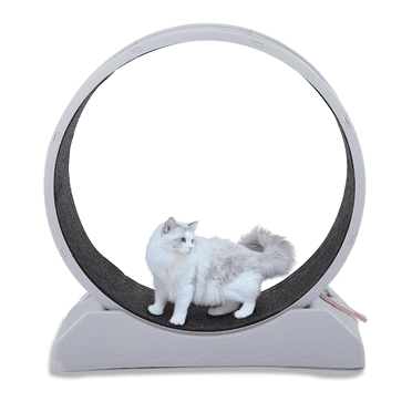 UBesGoo Cat Exercise Wheel -Safe 31in-Cat Treadmill Wheel Exerciser with Carpeted Runway for Daily Exercise and Weight Loss, Gray