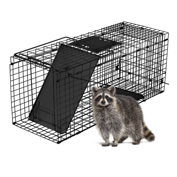 UBesGoo Heavy Duty Animal Trap, 32" Humane Cage with Secure Handle for Raccoons, Folding Metal Design, Black
