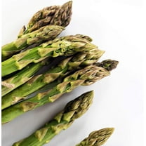 UC 72 Asparagus Garden Seeds - 2 g Packet ~60 Seeds - Non-GMO, Open Pollinated, Perennial Vegetable Gardening Seeds