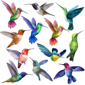 UCEI 12 Pcs Large Hummingbird Fridge Magnets Waterproof Bird Magnetic Stickers 6 Inch