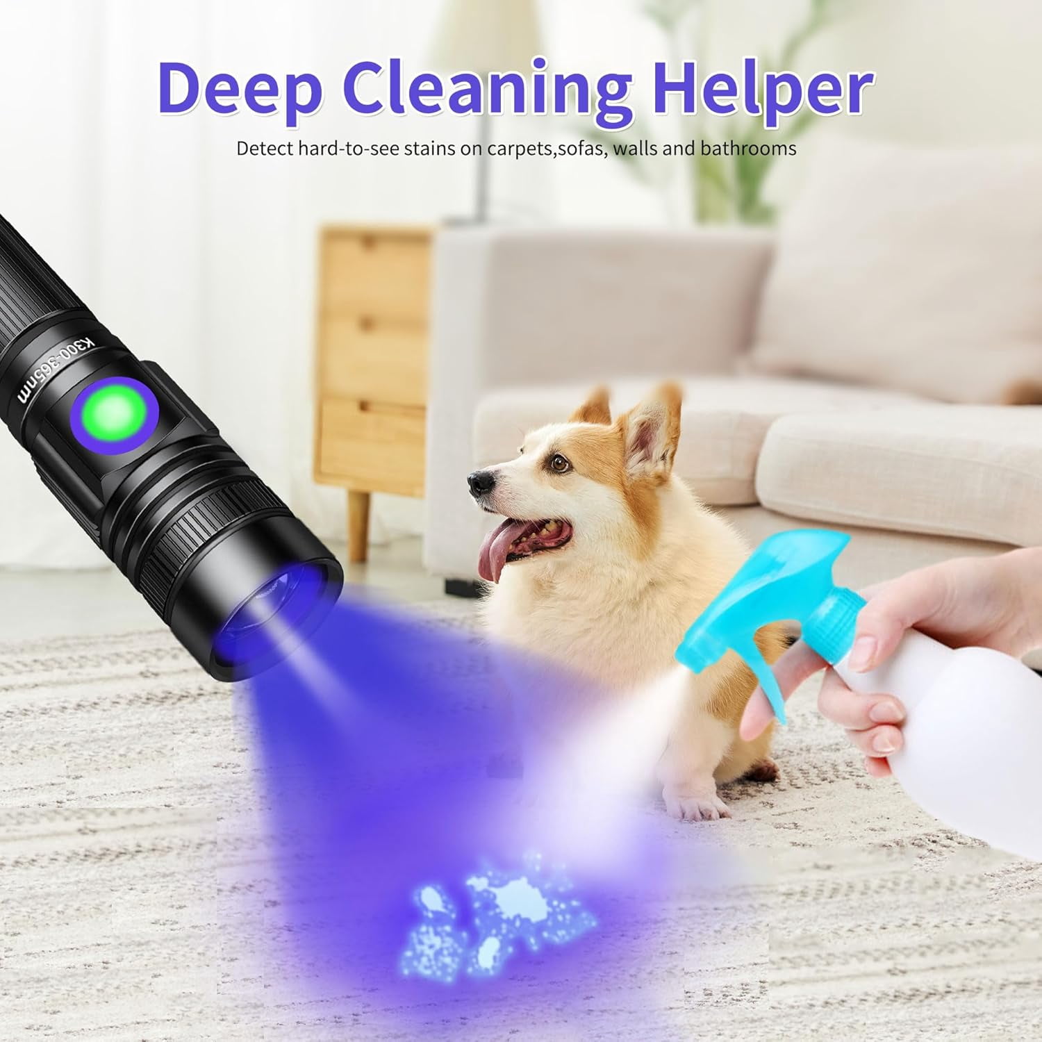 black light with phone flashlight LP32UV Ultra Violet Bright Lanyard Portable Black Light UV Flashlights