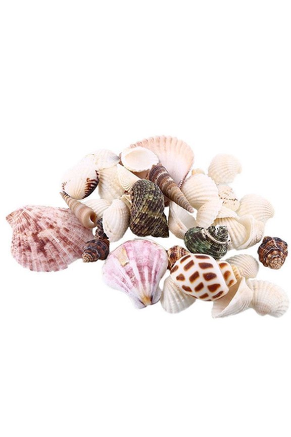 100g Mixed Mix Sea Shells Shell Craft Seashells Home Aquarium Nautical Decor