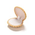 thumbnail image 1 of UDIYO Cute Shell Velvet Gift Box Ring Pendant Jewelry Earrings Storage Display Case, 1 of 7