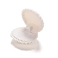 thumbnail image 1 of UDIYO Cute Shell Velvet Gift Box Ring Pendant Jewelry Earrings Storage Display Case, 1 of 7