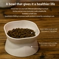 thumbnail image 1 of UDIYO Extra Wide Raised Cat Food Bowl, Elevated Cat Bowls Anti-Vomiting Cat Feeder Whisker Stress-Free Dog Two Bowls Cat Feeding Bowls, 1 of 7