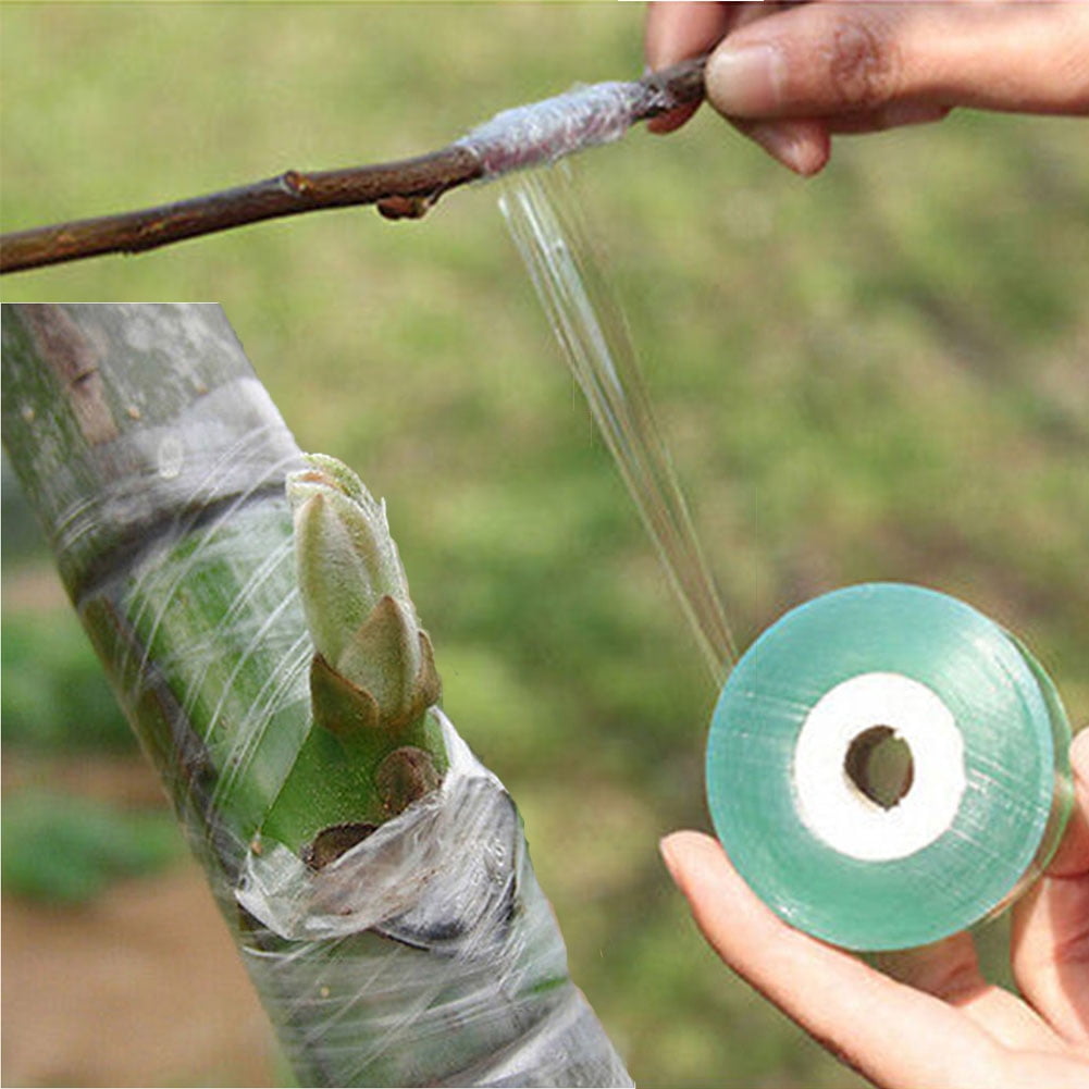 Garden Grafting Tape - Stretchable PVC Tape, 3cm Wide X 100m Roll, Green & Transparent - View #2