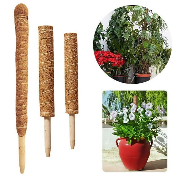 UDIYO Moss Pole for Plants Monstera, Moss Stick, Fusisi Plant Pole for Climbing Plants Totem Pole - Plant Support for Indoor Potted Plants Train Creeper Plants Grow Upwards