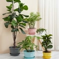 thumbnail image 1 of UDIYO Plastic Planters Indoor Flower Plant Pots, Flower Seedlings Nursery Pot/Planter/Flower Pot with Pallet, Modern Decorative Gardening Containers, 1 of 8