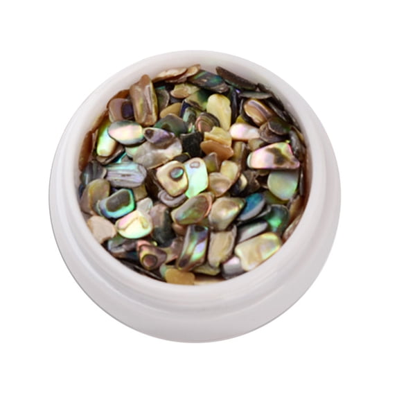 UDIYO Shell Nail Decoration Colorful Natural Abalone Shell Thin Slices 3D Nail Art Charm Manicure Craft Ornaments Nail Supplies