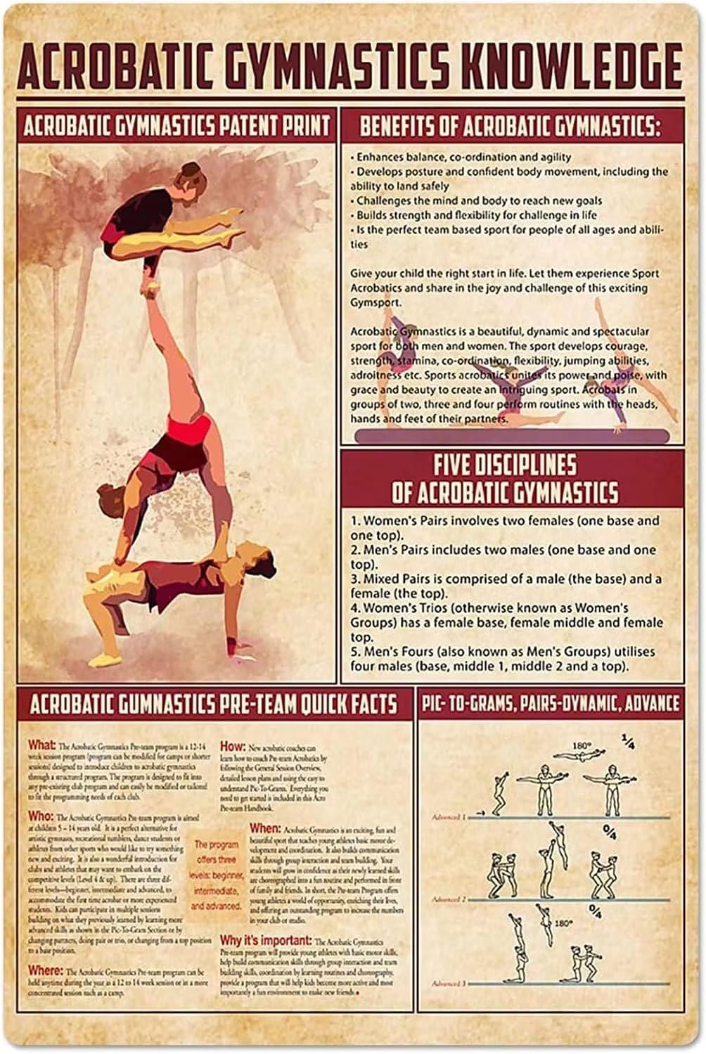 UEJUNBO Acrobatic Gvmnastics Knowledge Metal Tin Signs Acrobatic ...