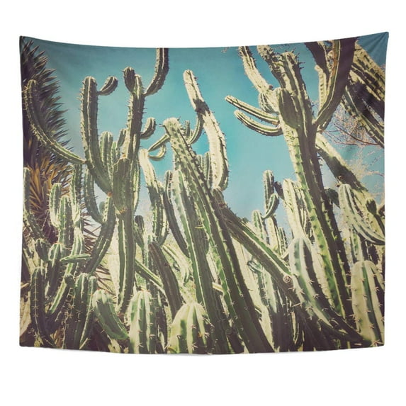 UFAEZU Angle Green Arid Cactus in The Desert Low Wall Art Hanging Tapestry Home Decor for Living Room Bedroom Dorm 60x80 inch