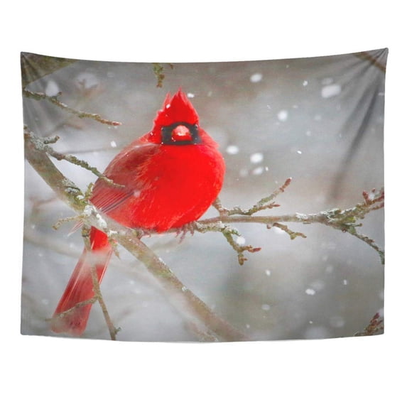 UFAEZU Beautiful Michigan Birds in Winter Settings Sparrows Cardinals Juncos Hawks Blue Jays Finches Woodpeckers Wall Art Hanging Tapestry Home Decor for Living Room Bedroom Dorm 60x80 inch