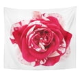 thumbnail image 1 of UFAEZU Beautiful White Red Rose Flower on with Clipping Path No Shadows Closeup Nature Beauty Wall Art Hanging Tapestry Home Decor for Living Room Bedroom Dorm 51x60 inch, 1 of 1