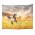 thumbnail image 1 of UFAEZU Brown Beautiful Running Galloping Horse On Autumn Dawn Wild Beauty Dust Wall Art Hanging Tapestry Home Decor for Living Room Bedroom Dorm 51x60 inch, 1 of 2