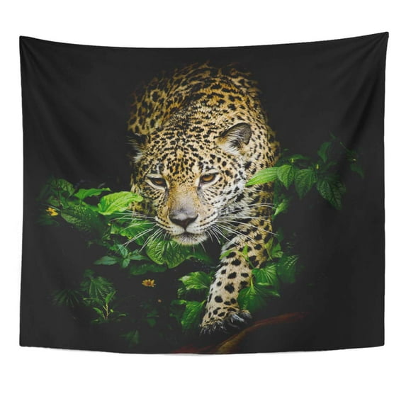 UFAEZU Close Black Jaguar Portrait White Wild Cat Big Wall Art Hanging Tapestry Home Decor for Living Room Bedroom Dorm 60x80 inch